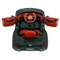 Bentley EXP 12 Dětská baterie Auto Zelená Dálkové otevírání dveří Elegantní vzhled