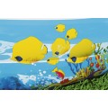 Nafukovací bazén Mořská půda 262x157x46cm pro děti 3+ BESTWAY + opravná lišta