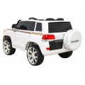 Toyota Land Cruiser Bateriové Bílé Dálkové Úložiště EVA Pomalý Start LED MP3