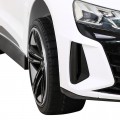 Audi RS E-Tron GT Bateriový dálkový ovladač 4x4 Drive Radio MP3 LED EVA