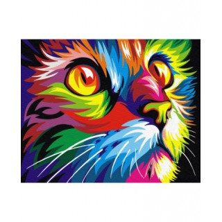 Malování podle čísel Duhová kočka 40x50 Plátno + Barvy + Štětce