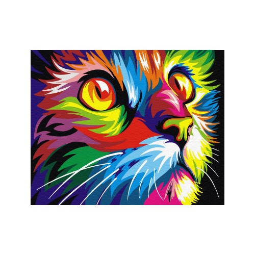 Malování podle čísel Duhová kočka 40x50 Plátno + Barvy + Štětce