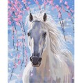 Malba podle čísel Bílý kůň 40x50 Plátno + Barvy + Štětce