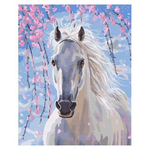 Malba podle čísel Bílý kůň 40x50 Plátno + Barvy + Štětce