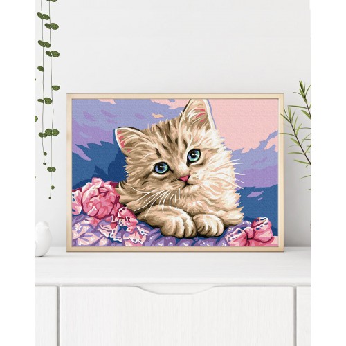 Malba podle čísel Modrooká kočka 40x50 Plátno + Barvy + Štětce
