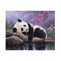 Panda odpočívá 40x50 Plátno + Barvy + Štětce