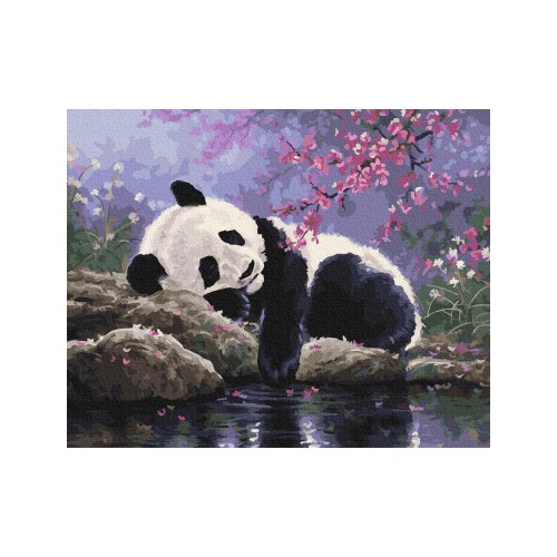 Panda odpočívá 40x50 Plátno + Barvy + Štětce