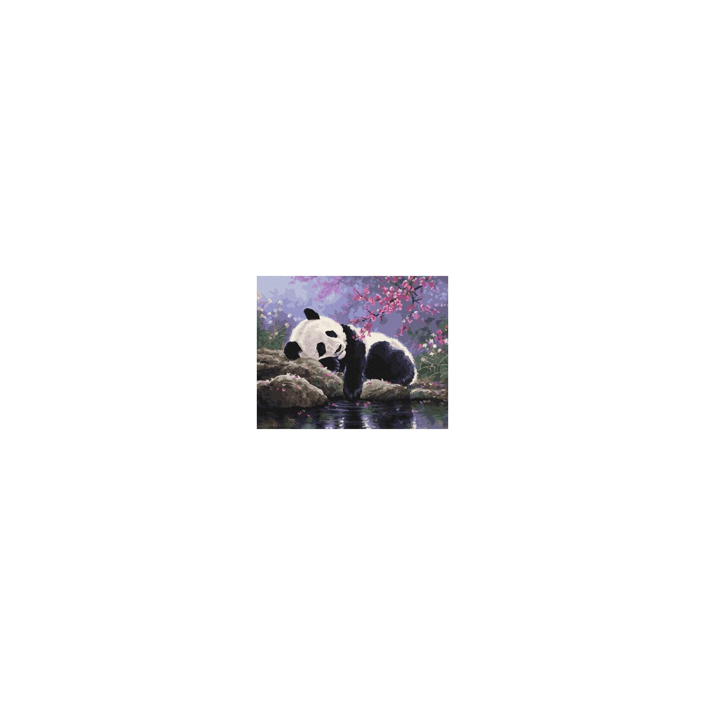 Panda odpočívá 40x50 Plátno + Barvy + Štětce