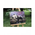 Panda odpočívá 40x50 Plátno + Barvy + Štětce