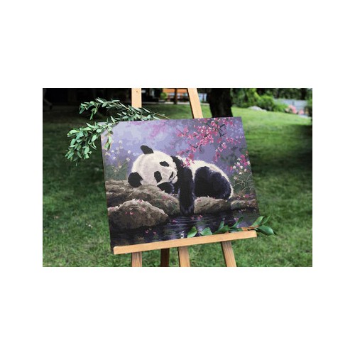 Panda odpočívá 40x50 Plátno + Barvy + Štětce