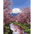 Malba podle čísel Kvetoucí Sakura 40x50 Plátno + Barvy + Štětce