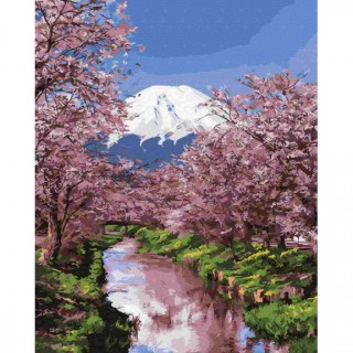 Malba podle čísel Kvetoucí Sakura 40x50 Plátno + Barvy + Štětce