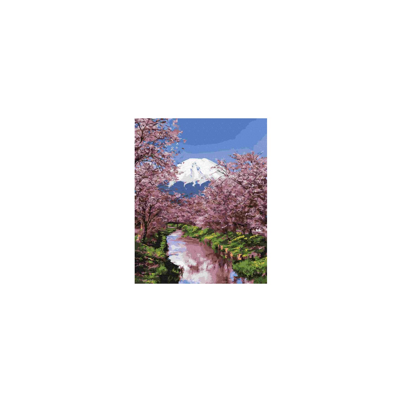 Malba podle čísel Kvetoucí Sakura 40x50 Plátno + Barvy + Štětce