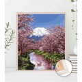Malba podle čísel Kvetoucí Sakura 40x50 Plátno + Barvy + Štětce
