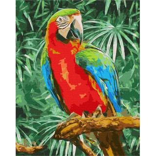 Sada Malování podle čísel 40x50cm Duhová kráska