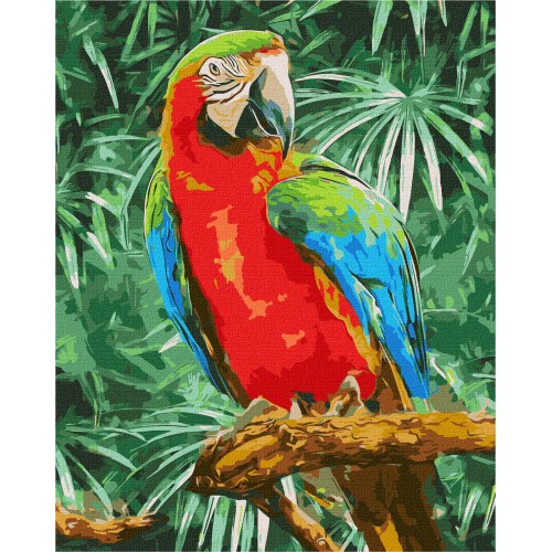 Sada Malování podle čísel 40x50cm Duhová kráska