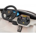 Vozidlo Lamborghini SIAN