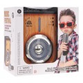 Zesilovač s funkcí Bluetooth + mikrofon