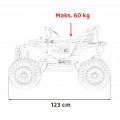 Terénní vozidlo HONDA Talon 4x4 Zelená