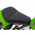 Motocyklový chopper Warrior Green vozidlo