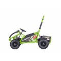 MAIGHTY Green Electric Gokart Vehicle