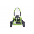 MAIGHTY Green Electric Gokart Vehicle