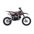 Spalovací motor vozidla 110CM IMMORTAL červený