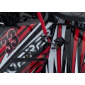 Vozidlo Quad Combustion 125CC DISCOVERER Red
