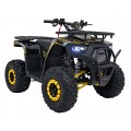 Spalovací čtyřkolka 125CC DISCOVERER žlutá