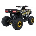 Spalovací čtyřkolka 125CC DISCOVERER žlutá