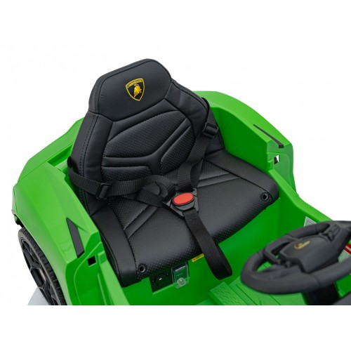 Vůz Lamborghini Revuelto Green