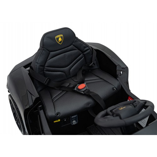 Vůz Lamborghini Revuelto Black