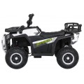 Čtyřkolka Robust 01 Bílá