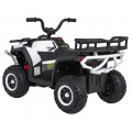 Čtyřkolka Robust 01 Bílá