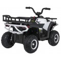 Čtyřkolka Robust 01 Bílá