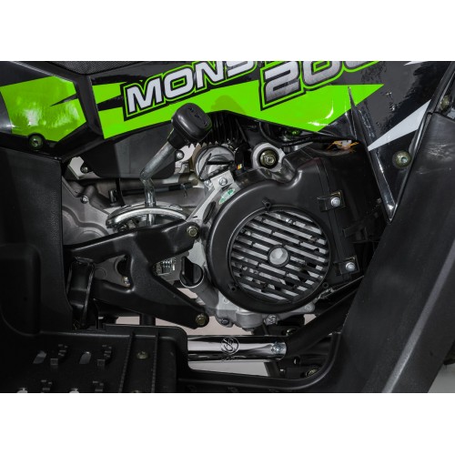 Benzínová čtyřkolka MONSTER 200CC, zelená