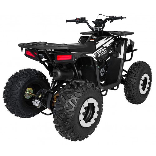 Spalovací čtyřkolka 200CC MONSTER Black