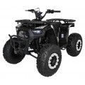 Spalovací čtyřkolka 200CC MONSTER Black