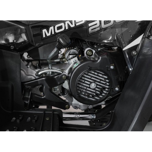 Spalovací čtyřkolka 200CC MONSTER Black