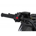 Spalovací čtyřkolka 200CC MONSTER Black