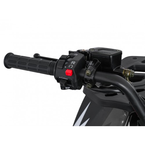 Spalovací čtyřkolka 200CC MONSTER Black