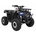 Spalovací čtyřkolka 125CC DISCOVERER černá