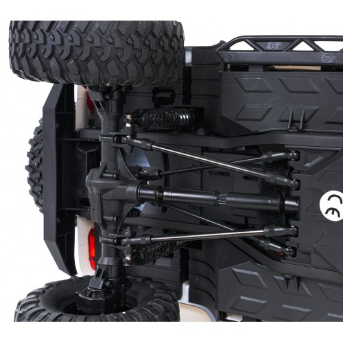 WILDERNESS R/C 1:10 auto