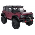 WILDERNESS R/C 1:10 auto
