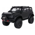 Auto R/C WILDERNESS 1:10 Black
