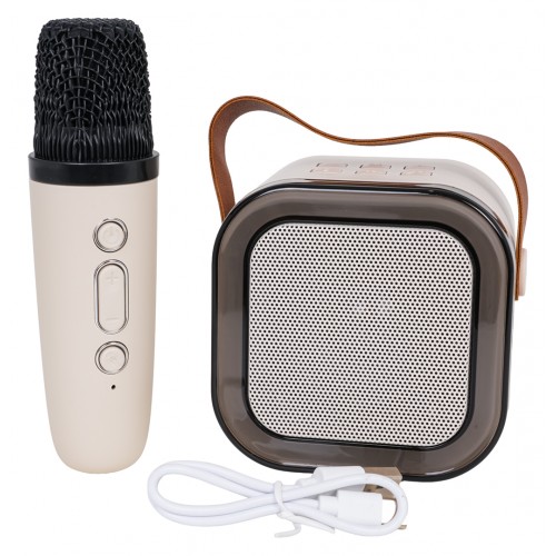 Sada mikrofonu a reproduktorů pro karaoke