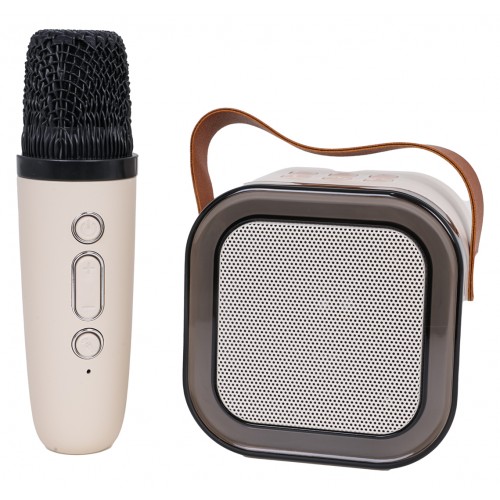 Sada mikrofonu a reproduktorů pro karaoke