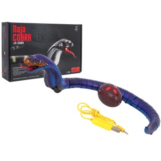 COBRA R/C had