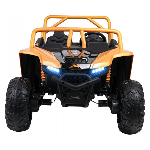 Buggy Arctic Cat WILDCAT XXGold