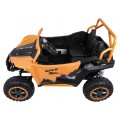 Buggy Arctic Cat WILDCAT XXGold